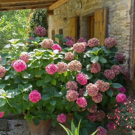 Casa La Valle, Gubbio, Frazione Santa Cristina Bed and Breakfast Eksteriør billede