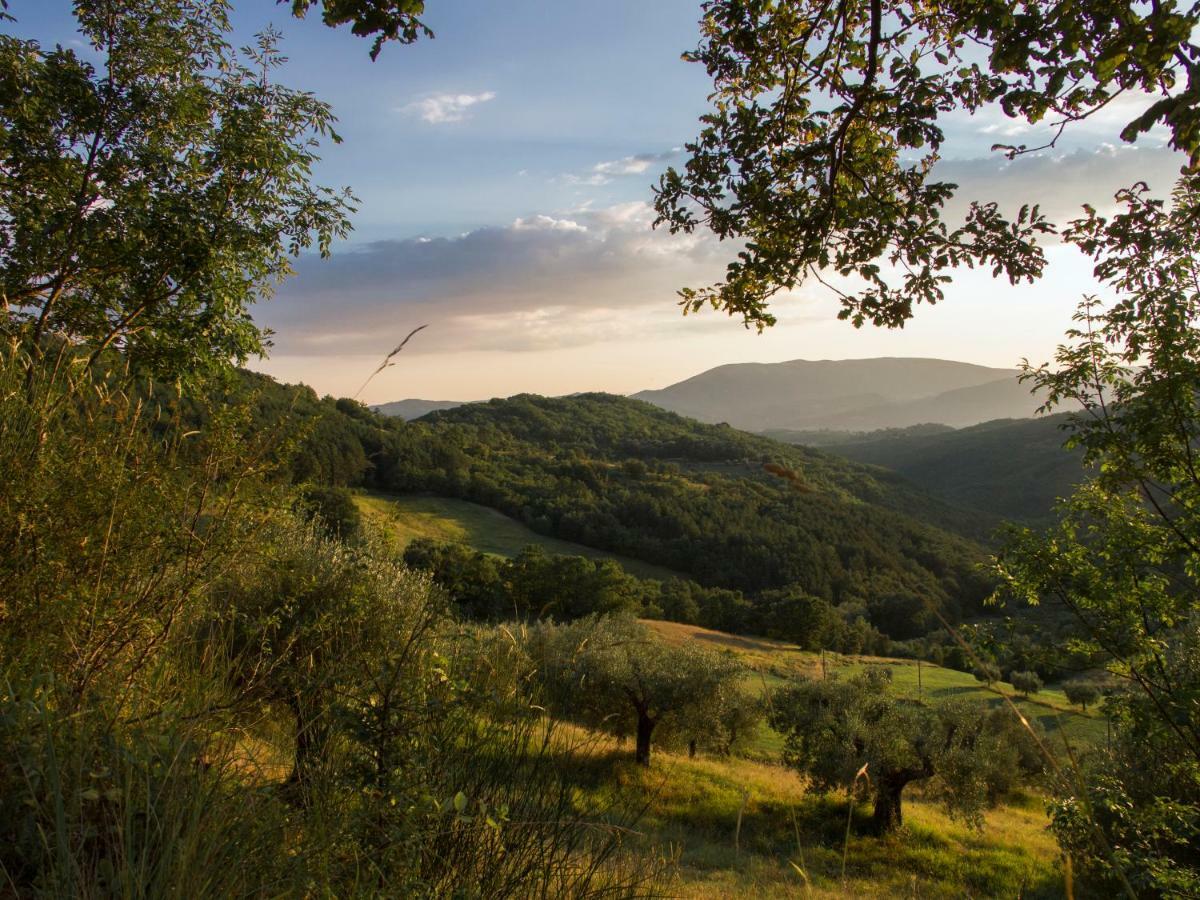 Casa La Valle, Gubbio, Frazione Santa Cristina Bed and Breakfast Eksteriør billede